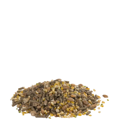 VERSELE-LAGA Gold 4 Mini Mix 20kg – Image 2