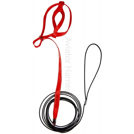 Harnais Pour Perroquets Aviator - S/Rouge – Image 2