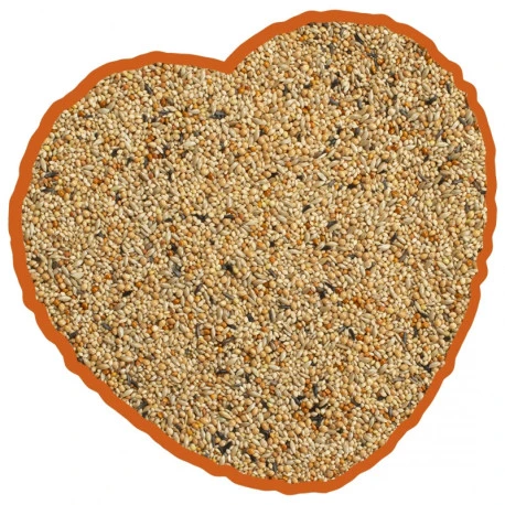 Mélange De Graines Pour Oiseaux Exotiques 20Kg - Duvo – Image 2