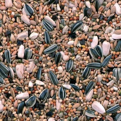 Grandes Perruches Duvo 20 Kg – Image 4