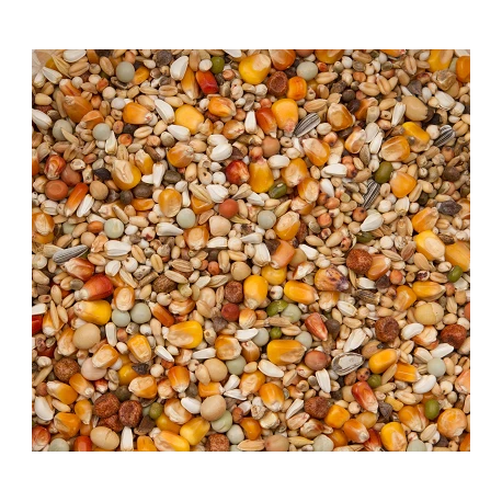 Premium Verkerk Sport 20kg - Beyers – Image 2