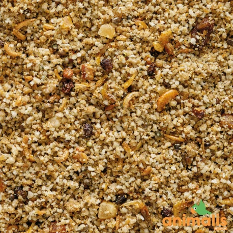 VERSELE-LAGA Uni Pâtée 25kg - Aliment Complet Pour Les Petits Frugivores Et Insectivores – Image 2